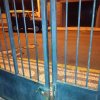 dia 19 de agosto de 2019 3.35